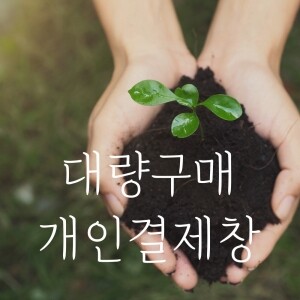 유기농바질 대량정기구매